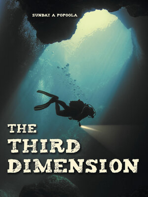 cover image of The Third Dimension